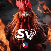 SV Treasure